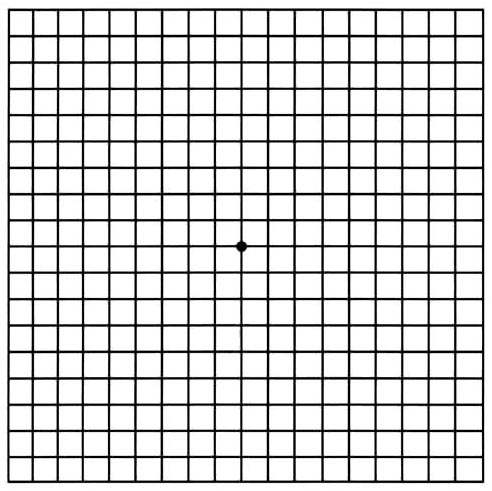 Amslers Grid